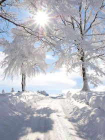 雪的尽头