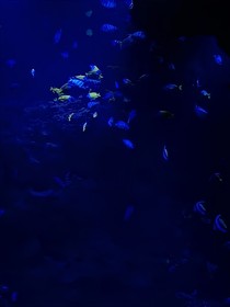前边有星海