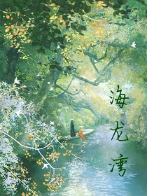 海龍灣