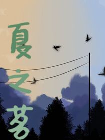 夏之茗