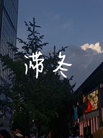 滞冬