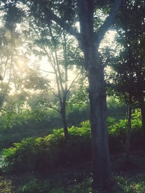 因你七月