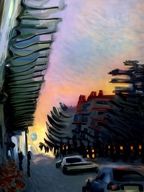 种下玫瑰
