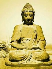 喜灰：穿越后被迫打工