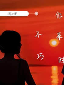 你来时不巧