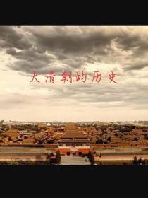 大清朝的历史