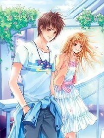 夏日鳴蟬