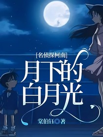 名侦探柯南：月下的白月光
