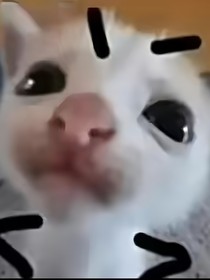 小沐的群聊