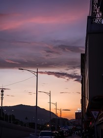 京年景鹤