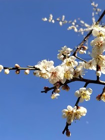 云与山