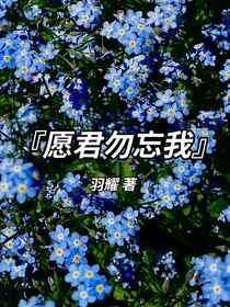 愿君勿忘我