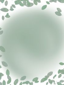 羽的那些事
