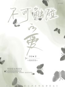 不可触碰的爱——李妍