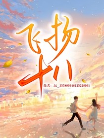 飞扬十八