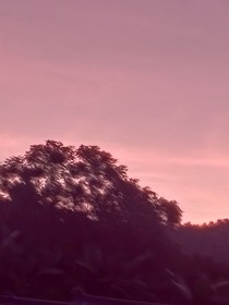 煙江湖邊的一地狗血
