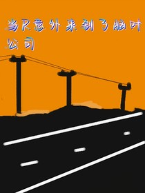 當(dāng)R意外來到腦葉公司