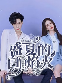 盛夏的白日焰火