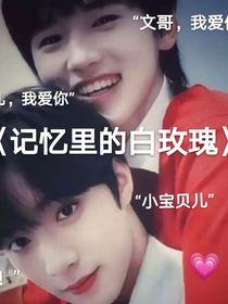 记忆里的白玫瑰：文轩