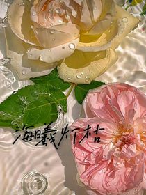 海曦燈枯