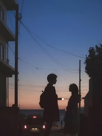 柳树下的木乔