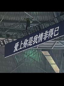 初见极
