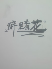 醉里看百花