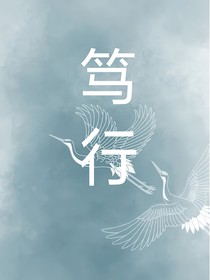 笃行-d425
