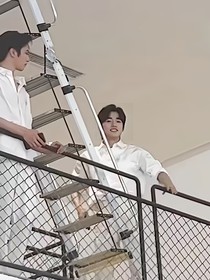 搁浅的鱼