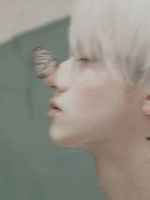 苏朱：蝶