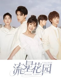 流星花園之續(xù)寫篇