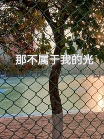 那不屬于我的光：作者的暗戀史