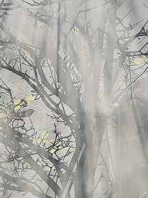 别人不懂的爱