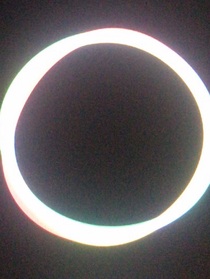 日记收录