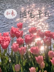 和羲隨筆手札
