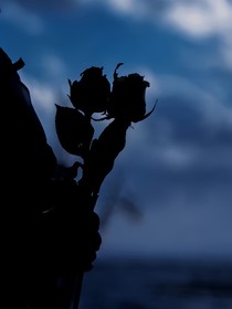 TNT：快乐主神