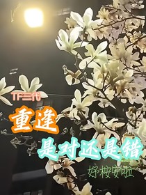 TF三代：重逢，是對還是錯