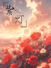 紫灯