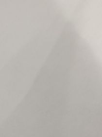 早期求