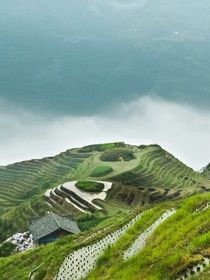 身不由己遇见你
