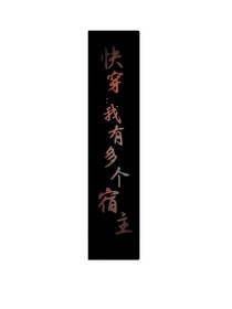快穿：我有多个宿主