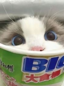 冬天的一封信