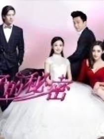 妻子的秘密2续写婚后生活故事——d314