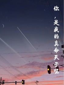 你，是我的真命天子吗