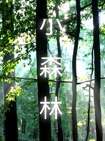 小森林1