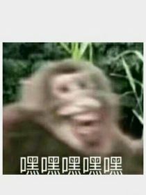 什么：饼焦美人祂男女通吃？！更喜欢了