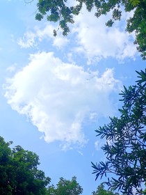 快穿之主神為什么要喜歡我？！