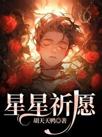 星星祈愿