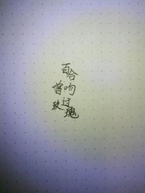 百合曾吻过玫瑰