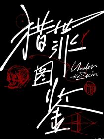 猎罪图鉴之谜